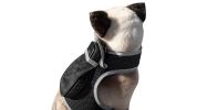 Rechargeable Reputable Finder Collar GPS Tracking Device for Dogs + Gyro Sensor Size:M