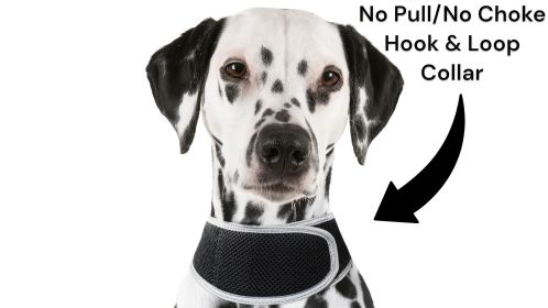 Portable Waterproof Realtime GSM Tracker with GPS for Dog Collar Mount Size:M