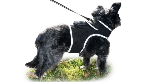 Collar Mini Cat Dog Tracking Chip Pet Locator Rechargeable GPS Tracker Size:XS