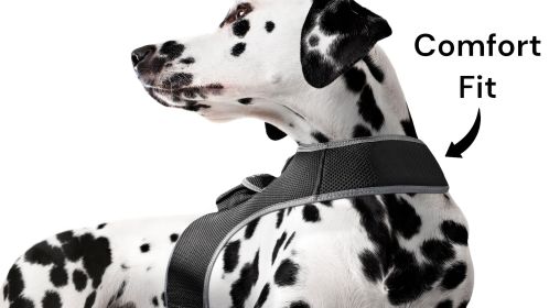 Pet Tracker GPS Tracking Collars for Dogs Waterproof Security Surveillance Size:XXL
