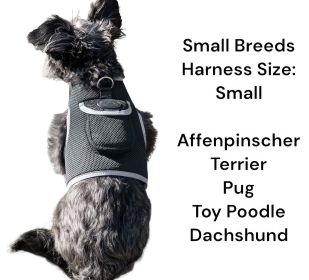 Wireless GSM Pet Tracking Dog Collar GPS Tracker Rechargeable Locator Size:XXL