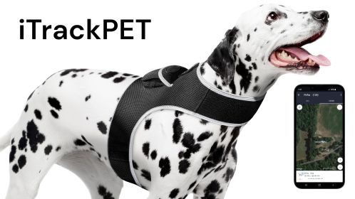 Wireless GPRS GPS Dog Trackers Waterproof Collar Mount Tracking Device Size:XXL