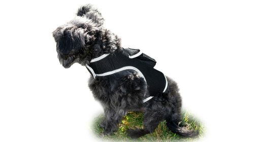 USB Rechargeable Dog Tracking Collar Mount GPS Realtime Locator Device Size:L