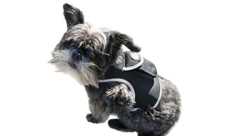 Realtime GPS GSM Collar Mount Pet Locator w/ Precise Dog Tracker Apps Size:L