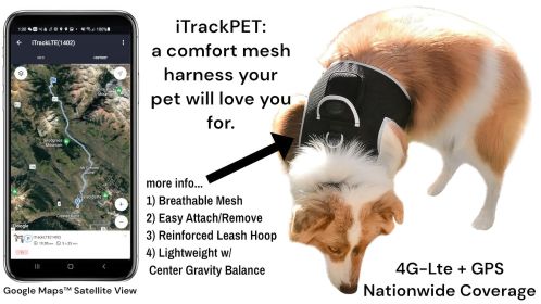 Rechargeable Pet Collar Finder Mini Portable GSM GPS Dog Tracking Unit Size:L