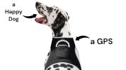Portable Waterproof Collar GSM GPRS GPS Tracking Chip for Dogs w/ App Size:S