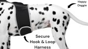Collar Tag Dog Locator Rechargeable + Realtime Easy Pet GPS App System Size:S