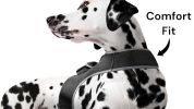Rechargeable Reputable Finder Collar GPS Tracking Device for Dogs + Gyro Sensor Size:M
