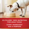 puPurina ONE High Protein Natural Beef & Brown Rice Ground Wet Dog Food 13 oz Can
