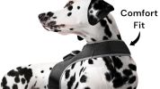 Rechargeable Mini GPS Realtime Pet Tracking Collars for Hunting Dogs Size:XXL
