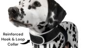 Rechargeable Tracking Dog GPS System Waterproof Pocket Collar Tracker Size:M