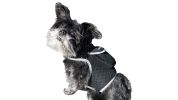 Portable Waterproof Collar GSM GPRS GPS Tracking Chip for Dogs w/ App Size:S