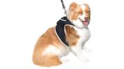 Collar Mini Cat Dog Tracking Chip Pet Locator Rechargeable GPS Tracker Size:XS