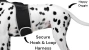 Economical Pet Surveillance Pocket GSM GPS Dog Tracking Collars Device Size:M