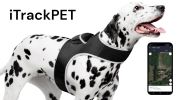 GPS Waterproof Realtime Dog Cat Collar Tracker for Locating Lost Pet Size:M
