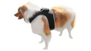 Realtime GPS GSM Collar Mount Pet Locator w/ Precise Dog Tracker Apps Size:XS