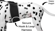 Movement Sensor Dog Collar Tracking Device Waterproof GPS Pet Locator Size:L