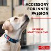 Nylon Dog Collar Adjustable Dog Collar 14-23 in Neck x 1 in Wide for Large Small & Medium Dogs Breakaway Puppy Collars Boy & Girl Dog Collars with Dur