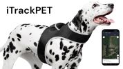 Pet Locator Collar GPS GSM Waterproof Rechargeable Dog Tracking Device Size:L