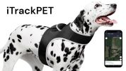 Realtime Tracking Dog Collar GPS Mini Tracker Waterproof Rechargeable Size:L