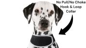 Realtime Tracking Dog Collar GPS Mini Tracker Waterproof Rechargeable Size:L