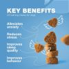 Hemp Calming Chews for Dogs Anxiety Relief Dog Calming Treats with Melatonin Chamomile Extract Valerian Root Travel Pack Anxiety Relief Chews for Vet