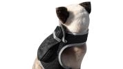 Portable Surveillance System GPS Pet Tracking Collars for Hunting Dogs Size:XS
