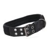 Super strong large dog collar with D-Ring & Buckle Collars Medium sized dog Golden haired horse dog Fierce dog collar